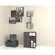 Lion مدخل بمرايه لون رمادي موديل